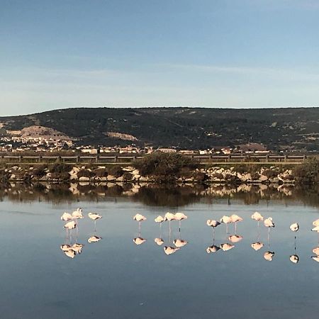 Flamants Roses 1 Pers 6 Frontignan Ngoại thất bức ảnh