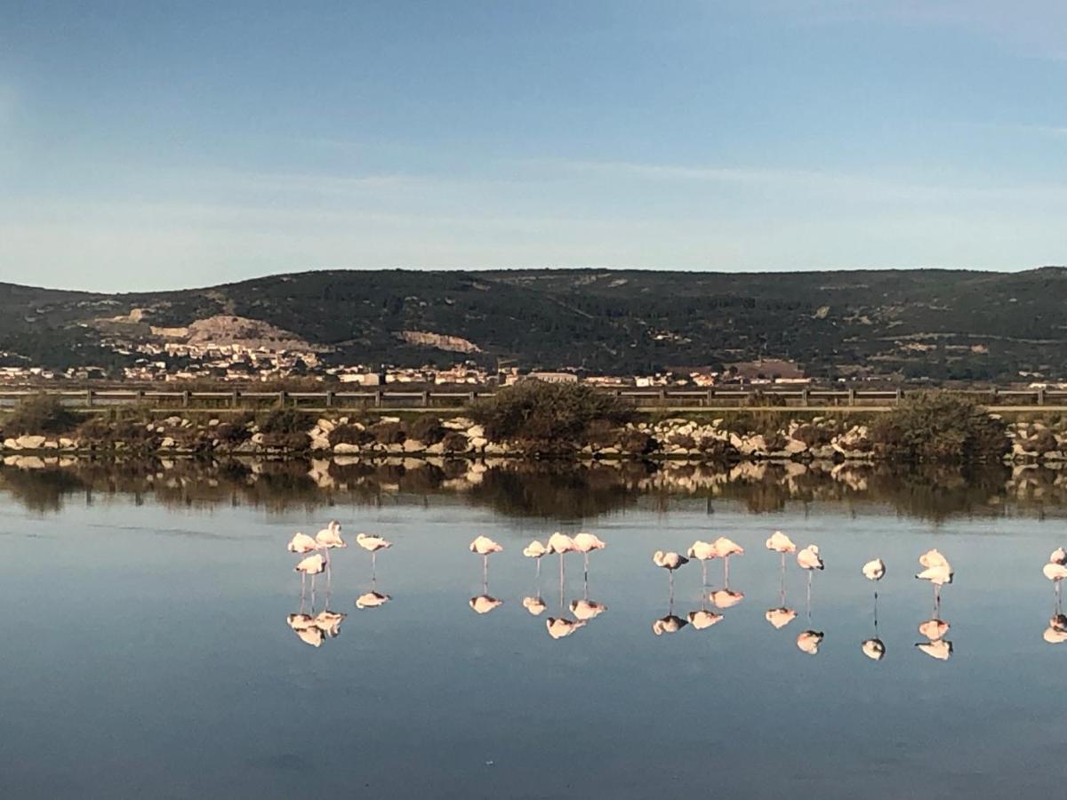 Flamants Roses 1 Pers 6 Frontignan Ngoại thất bức ảnh